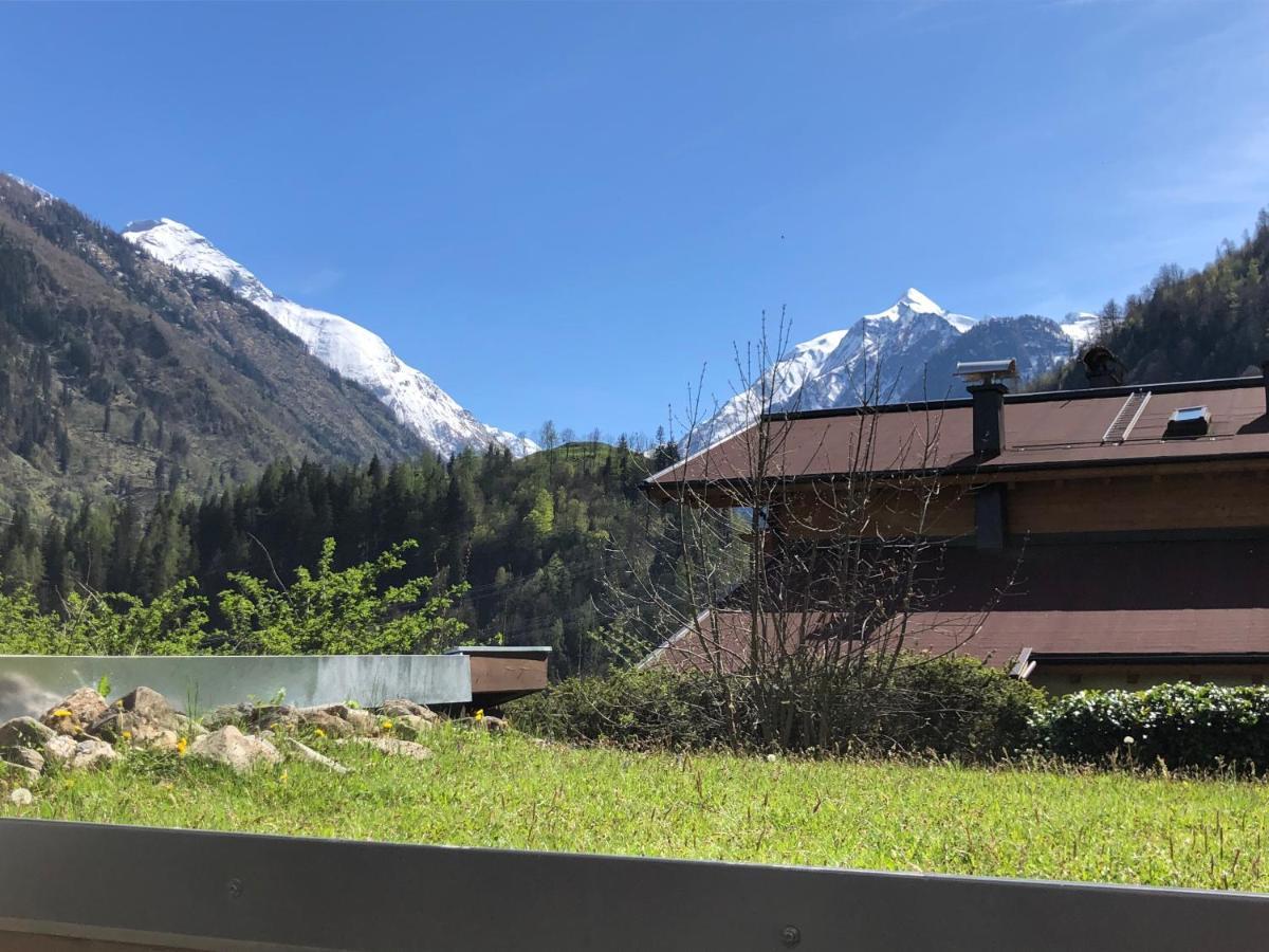 Grace, Mountain View